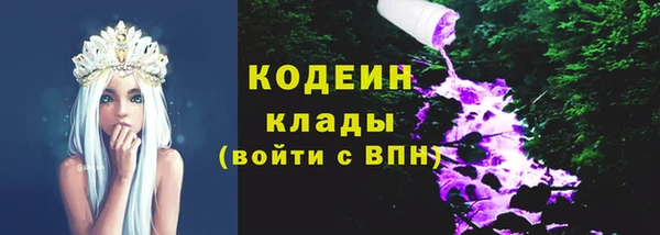 стафф Надым