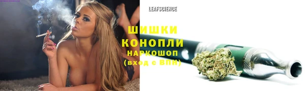 мдпв Навашино