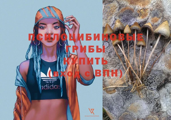 мдпв Навашино