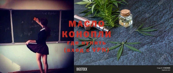 стафф Надым