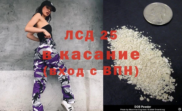 стафф Надым