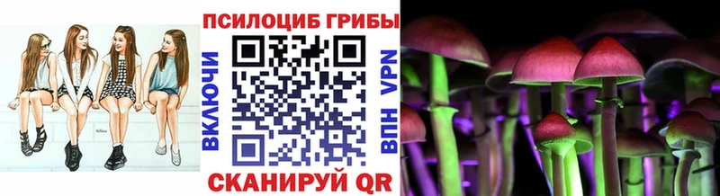 Купить  Темников  Псилоцибиновые грибы ЛСД 